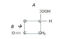 Schema2