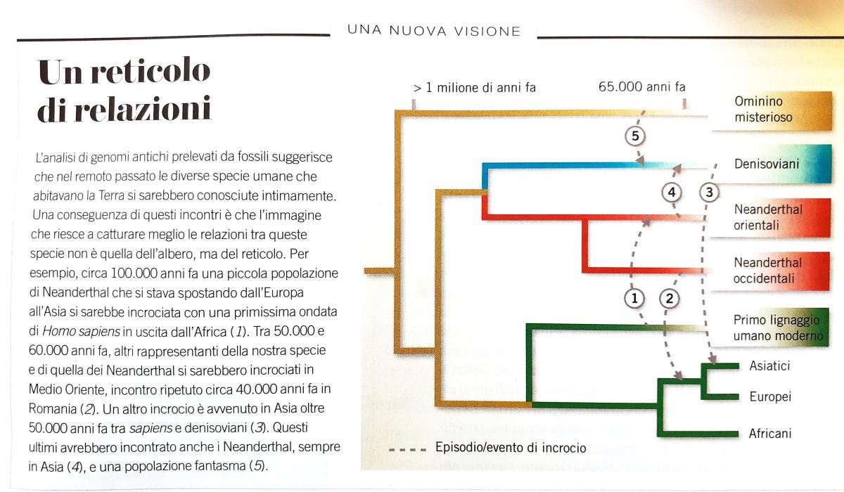 Fig.2